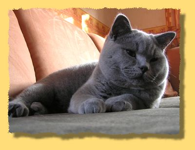 Januar 2006